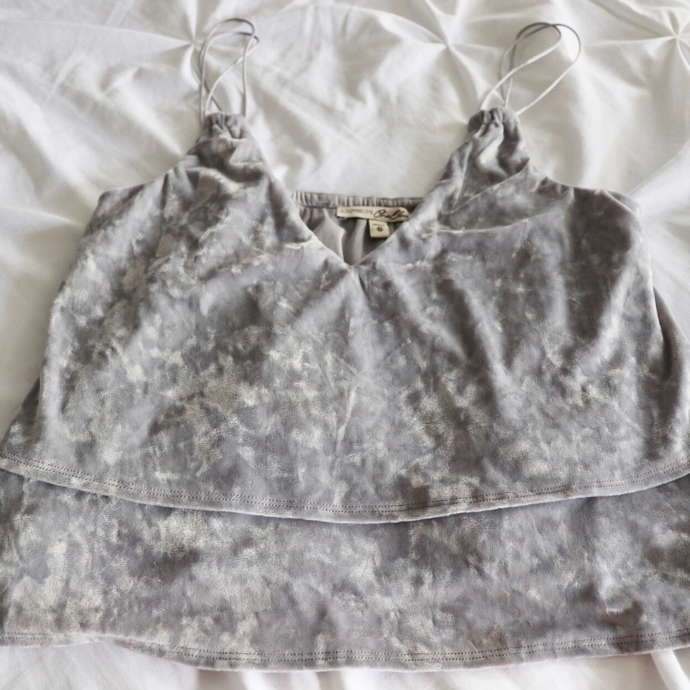Silver Velvet Top